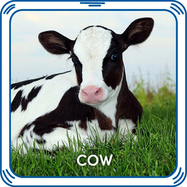 Cow Sound for Stuffed Animals | Build-A-Bear® - US 7730