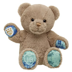 Well Wishes Teddy Bear | Build-A-Bear® - US 5219