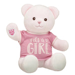 Baby Pink Teddy Bear "It's a Girl" Gift Set | Build-A-Bear® - US 6234