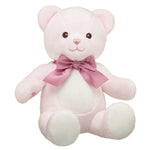 Baby Pink Teddy Bear with Gifting Bow | Build-A-Bear® - US 5570