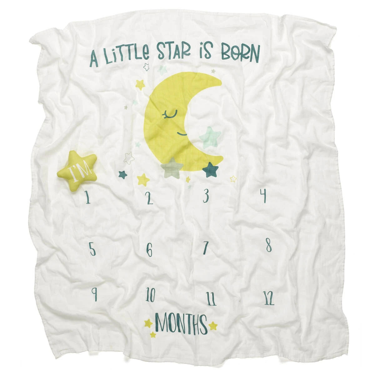 Monthly Milestone Baby Blanket | Build-A-Bear® - US 0203