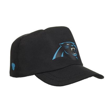 Carolina Panthers Timeless Teddy Bear Football Gift Set - US 7764